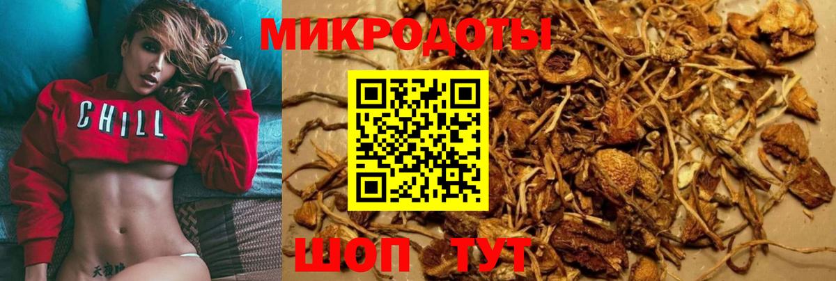 Орёл  Псилоцибиновые грибы GOLDEN TEACHER  Вход с VPN 